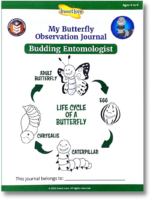 "Grow Your Own Painted Lady Butterfly Kit - Includes Habitat, STEM Journal, Chrysalis Log, and Caterpillars Voucher" - Image 4