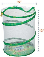 "Grow Your Own Painted Lady Butterfly Kit - Includes Habitat, STEM Journal, Chrysalis Log, and Caterpillars Voucher" - Image 3