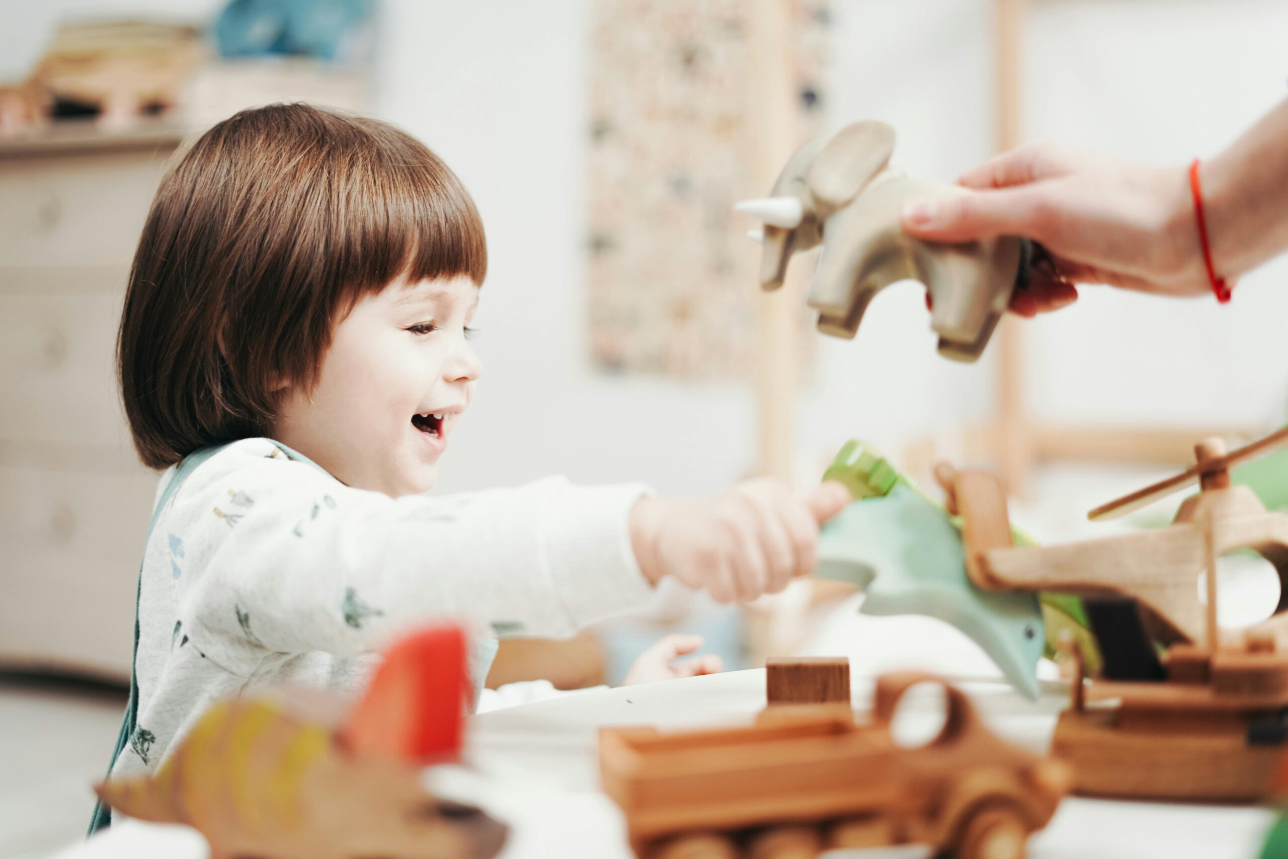 Educational Toys