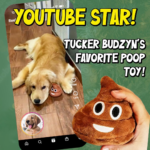Hilarious Fart Sound Plush Poop Toy - Perfect Gag Gift for Kids & Teens - Fun Christmas Stocking Stuffer or Secret Santa Surprise! - Image 6