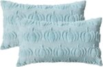 Cozy Autumn Vibes:  Pumpkin Caramel Throw Pillow Covers - Set of 2, 18x18 Inch Plush Faux Fur Cushion Cases for Seasonal Sofa Decor - Image 16