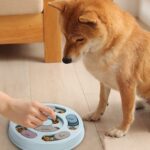 Engaging Dog Puzzle Toy for IQ Training & Mental Stimulation - Blue Treat Dispenser - Image 5