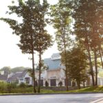 Balsam Fir Large Apothecary Jar Candle by  - 21.25 Oz. Green Scented Bliss - Image 7