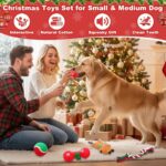 6 Pack Christmas Dog Toys - Squeaky Plush Chew Set with Interactive Rope, Perfect Holiday Stocking Stuffers for Small & Medium Dogs! - Image 4