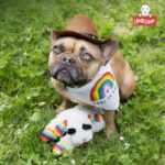 Mini Lamb Chop Plush Squeaky Pet Toy - Officially Licensed, 10" White Cuddle Buddy - Image 9