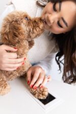 Inkless Paw Print Kit for Dogs and Cats - Perfect Keepsake for Pet Owners, DIY Impression Set for Small/Medium Pets - Image 10