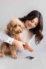 Inkless Paw Print Kit for Dogs and Cats - Perfect Keepsake for Pet Owners, DIY Impression Set for Small/Medium Pets - Image 6