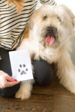 Inkless Paw Print Kit for Dogs and Cats - Perfect Keepsake for Pet Owners, DIY Impression Set for Small/Medium Pets - Image 9