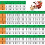 Family Matching Christmas Pajamas Set for Adults and Kids - 2-Piece Plaid Sleepwear Outfits - Image 5