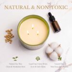 Luxury Balsam Cedar 3-Wick Soy Candle - 12oz, Long-Lasting 60+ Hour Burn, Perfect Holiday Gift for Men & Women, Elegant Winter Home Decor - Image 4