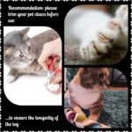 Deluxe Cat Kicker Toy Set - 11" Catnip Sticks (Set of 2) - 20 Fun Designs for Indoor Cats - Perfect Christmas Gift - Made in USA - Image 6