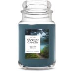 Yankees Candle Bayside Cedar Large Jar - 22oz Scented Candle with 150 Hour Burn Time - Perfect Gift!