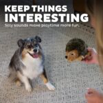 Hedgehogz Plush Dog Toy - Medium Size Fun for Your Furry Friend! - Image 4