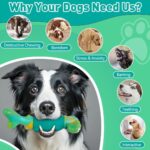 Durable Interactive Dog Toys for Aggressive Chewers - Squeaky Chew Toys for Large & Medium Breeds (Green) - Image 3