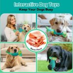Durable Interactive Dog Toys for Aggressive Chewers - Squeaky Chew Toys for Large & Medium Breeds (Green) - Image 5