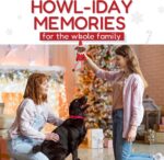 Pooch on a Perch - Adorable Christmas Elf Plush Dog Toy with Crinkle & Squeak, Perfect Holiday Gift & Stocking Stuffer for Your Pup! - Image 5