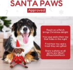 Pooch on a Perch - Adorable Christmas Elf Plush Dog Toy with Crinkle & Squeak, Perfect Holiday Gift & Stocking Stuffer for Your Pup! - Image 6