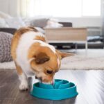 Medium Slow Feeder Bowl - Puzzle Maze Design for Fast Eaters, Non-Slip, BPA-Free, Perfect for Small to Medium Dogs, Aids Digestion & Prevents Bloat, Holds 2 Cups of Food, Stylish Turquoise Color - Image 6
